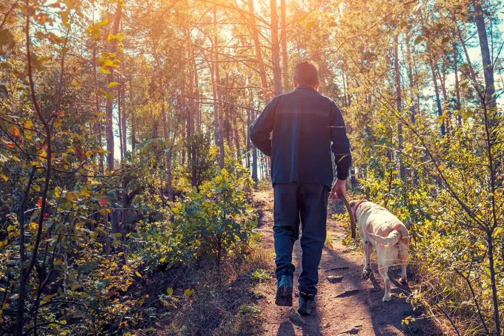 a man walks his dog to maintain sobriety