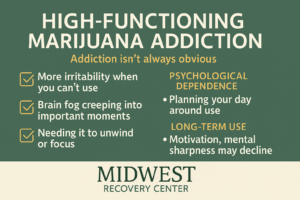 High-Functioning Addiction
