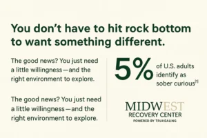 Sober Curious Stats