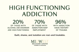 High-Functioning Addiction Stats
