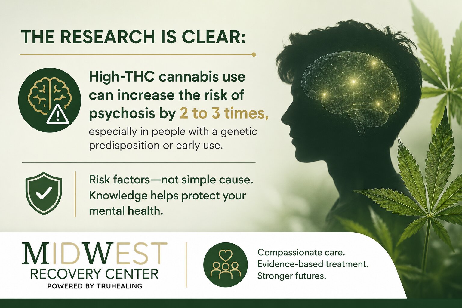 Weed and Schizophrenia What Research Shows Midwest